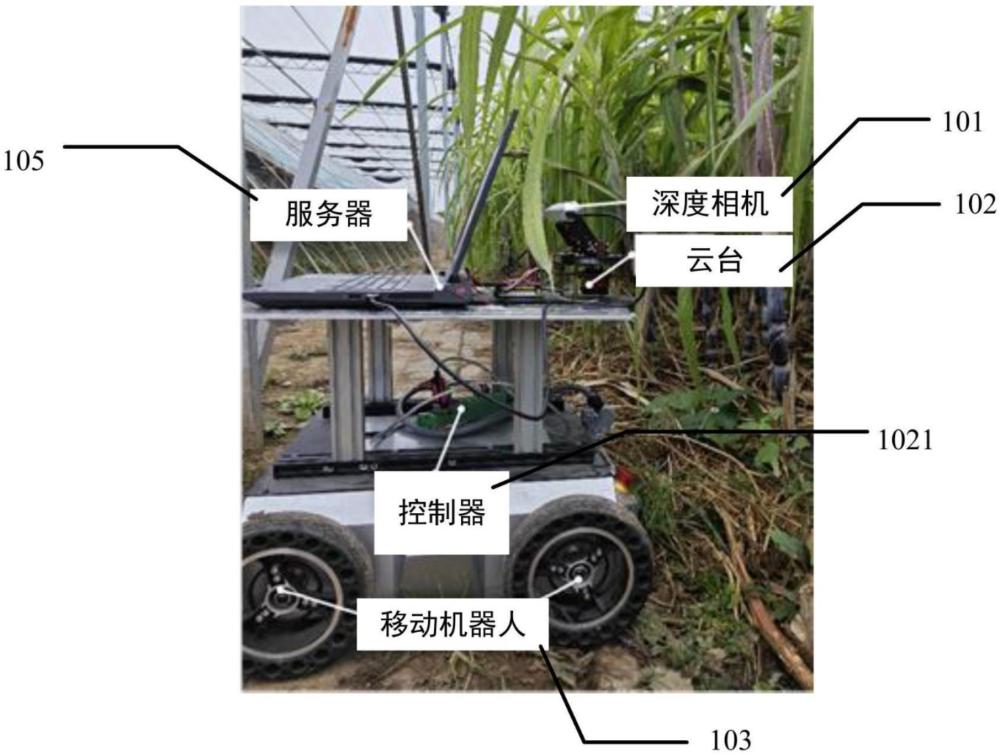 甘蔗生長高度的測量方法及系統(tǒng)