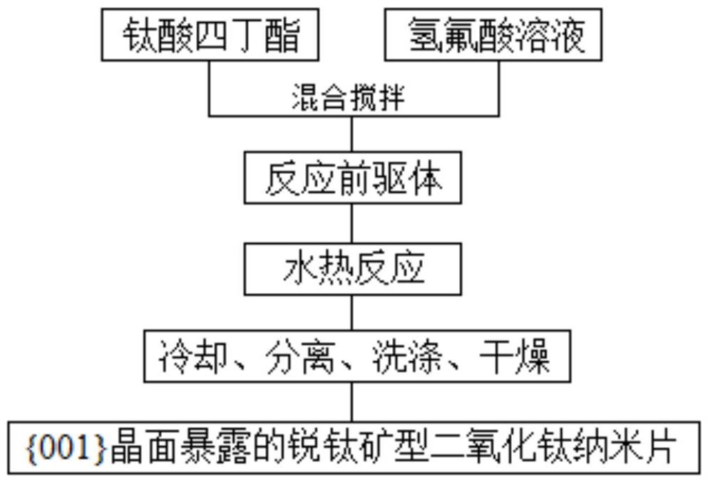 {001}晶面暴露的銳鈦礦型二氧化鈦納米片及制備方法和應(yīng)用