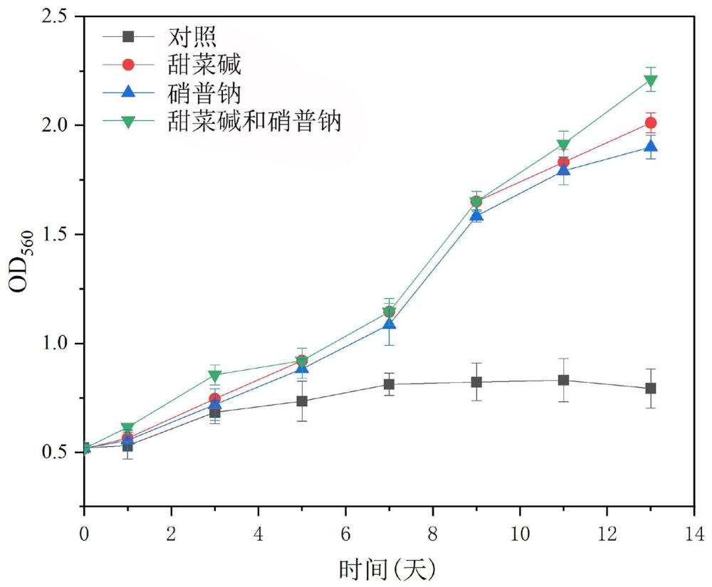 外源滲透調(diào)節(jié)分子輔助微藻抗鹽脅迫適應(yīng)性進(jìn)化的方法