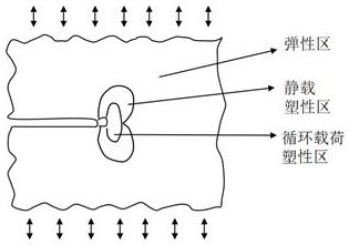 一種鎳基單晶高溫合金的板形振動(dòng)疲勞應(yīng)力斷口定量分析模型的建立方法和模型的應(yīng)用與流程