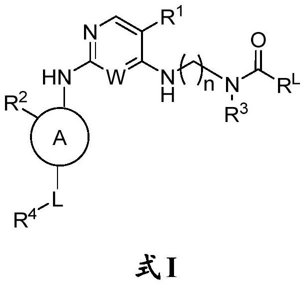 氨基嘧啶酰胺自噬抑制劑及其使用方法與流程