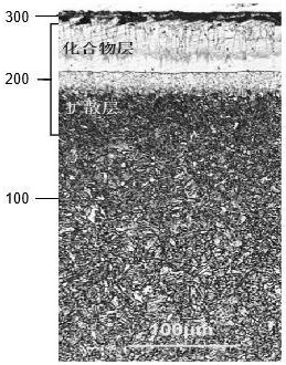 一種耐鹽霧鋼材、制備方法及其應(yīng)用與流程