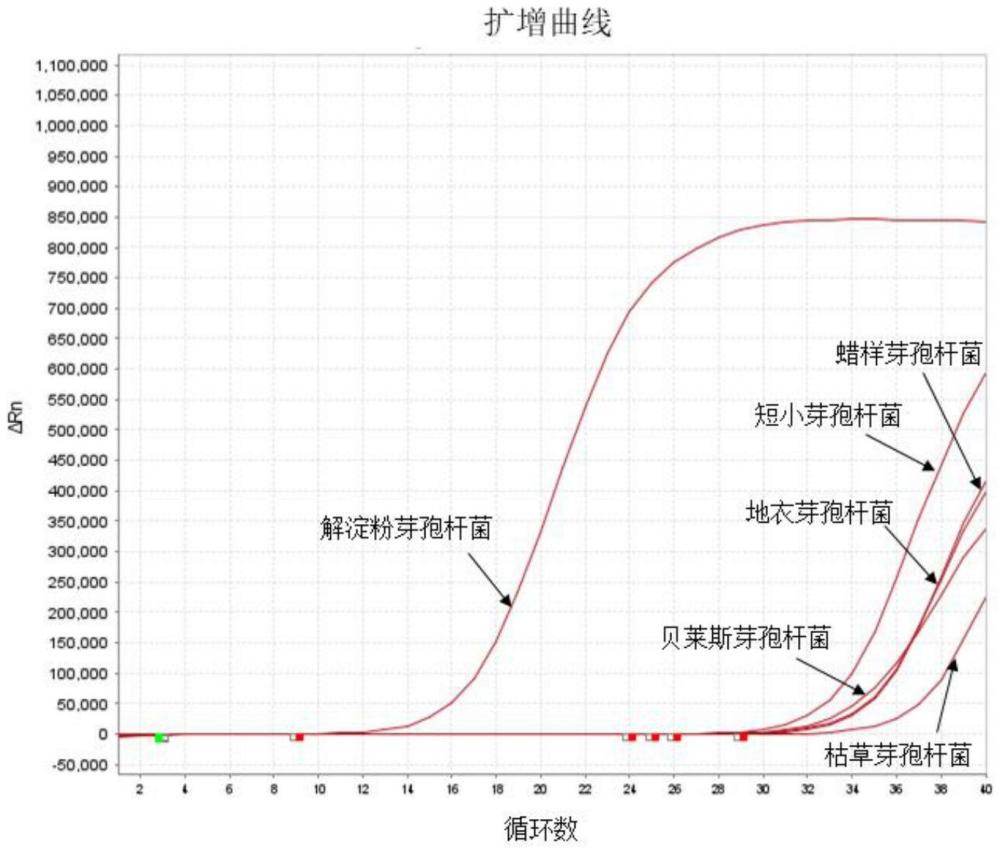 一種特異性檢測解淀粉芽孢桿菌的引物及其應(yīng)用的制作方法