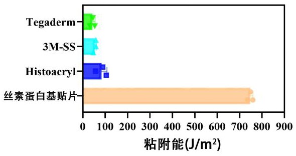 一種用于組織創(chuàng)傷無縫線修復(fù)的絲素蛋白基粘合貼片及其制備方法