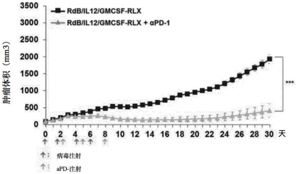 含腫瘤特異性溶瘤腺病毒和免疫檢查點(diǎn)抑制劑的抗癌組合物的制作方法