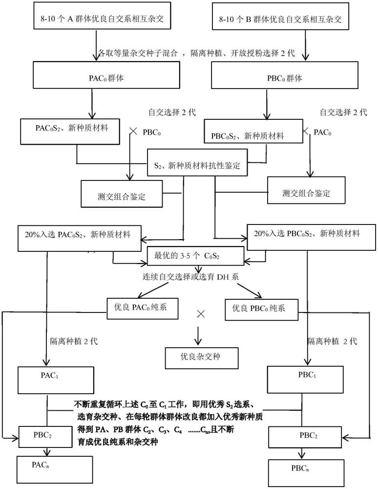 一種結(jié)合群體改良的玉米純系選育方法