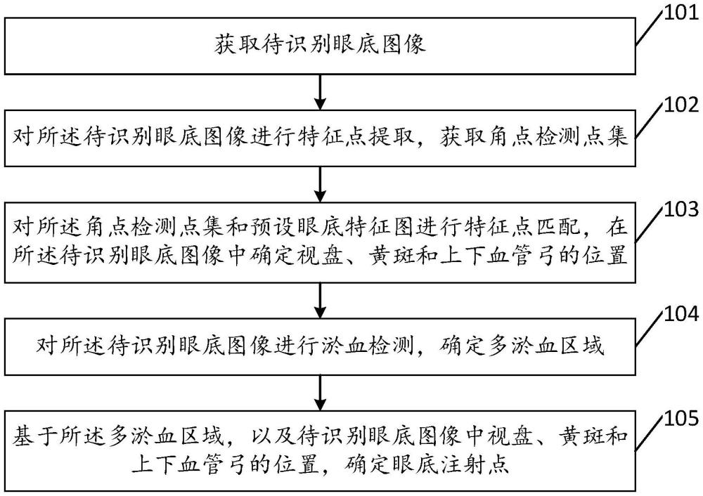 一種眼底注射點確定方法、裝置、設(shè)備及存儲介質(zhì)與流程