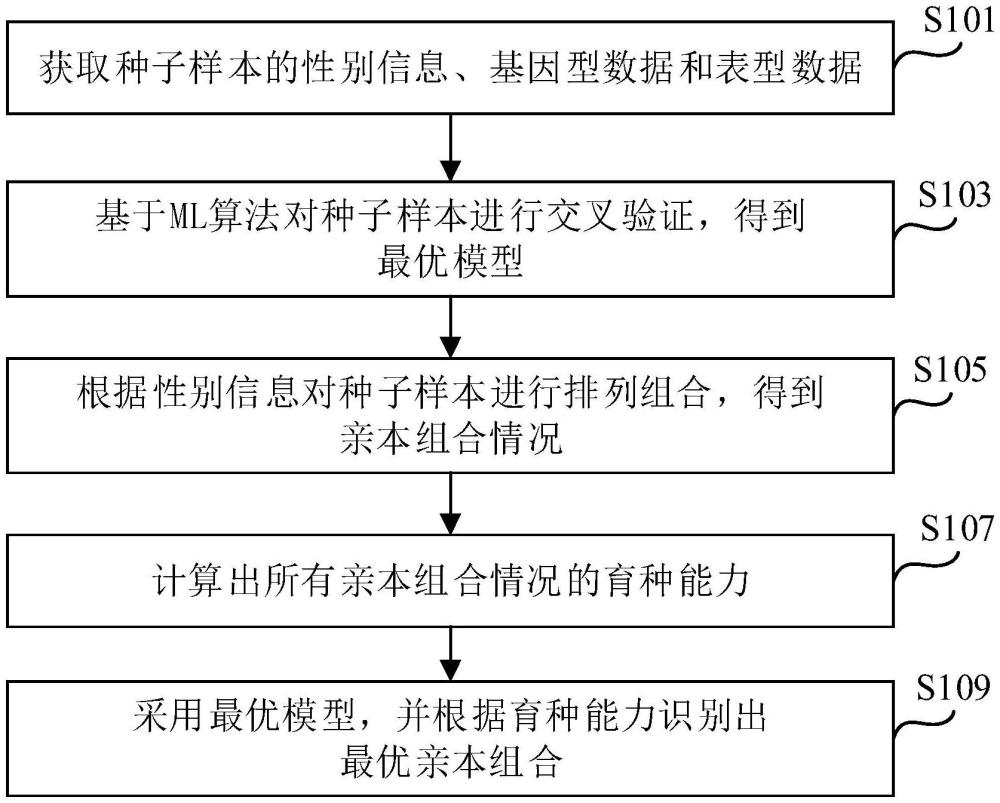 基于ML算法的最優(yōu)親本組合選配方法、電子設(shè)備和介質(zhì)與流程