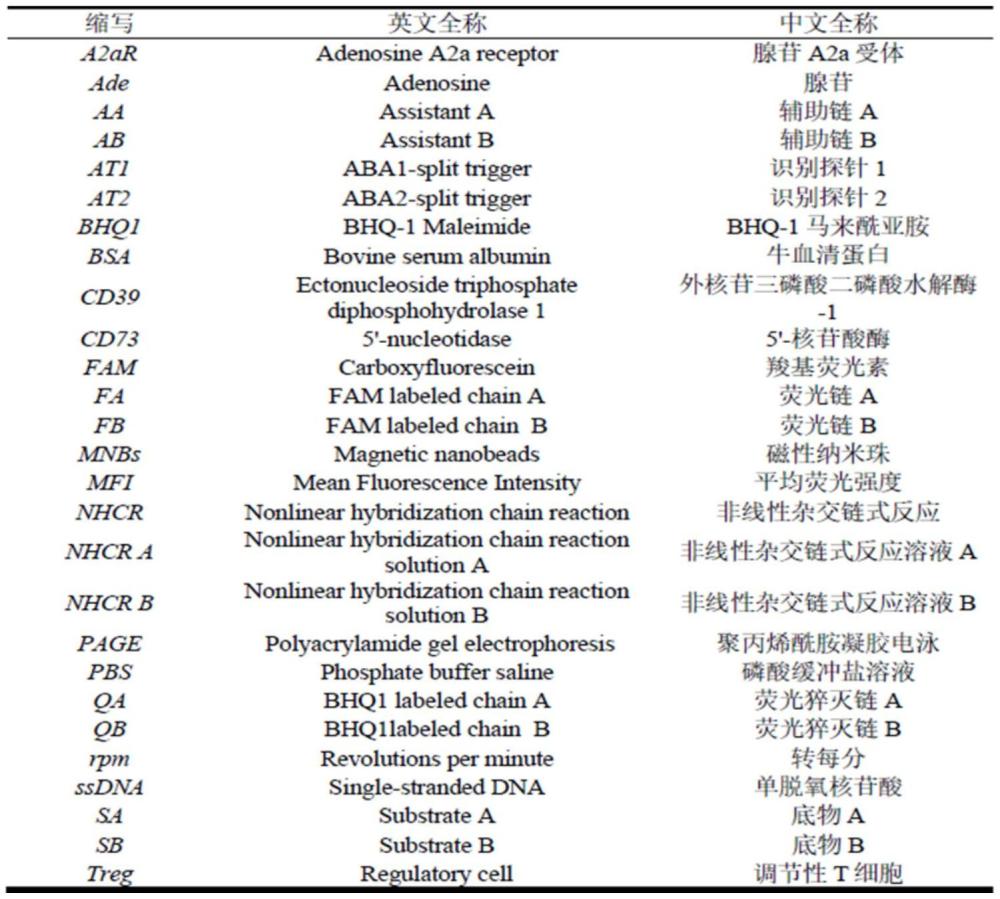 一種雙分裂適體探針及其應(yīng)用