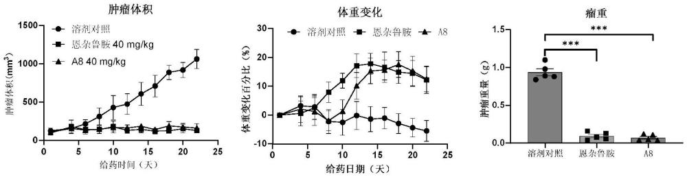 苯并[b]氧雜環(huán)庚烷類化合物及其應(yīng)用