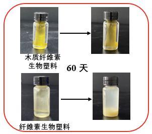 一種基于滸苔的木質(zhì)纖維素生物塑料及其制備方法