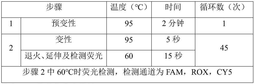 一種用于檢測(cè)猴痘病毒的引物探針組合及其應(yīng)用的制作方法