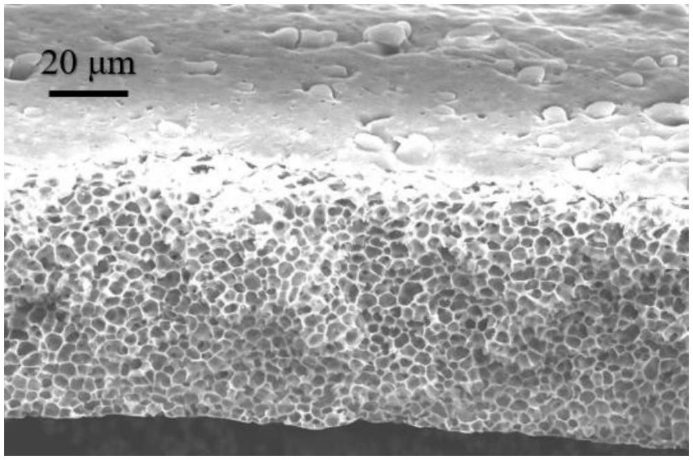 一種有機(jī)-無機(jī)復(fù)合型海綿狀多孔隔膜及制備方法和應(yīng)用與流程