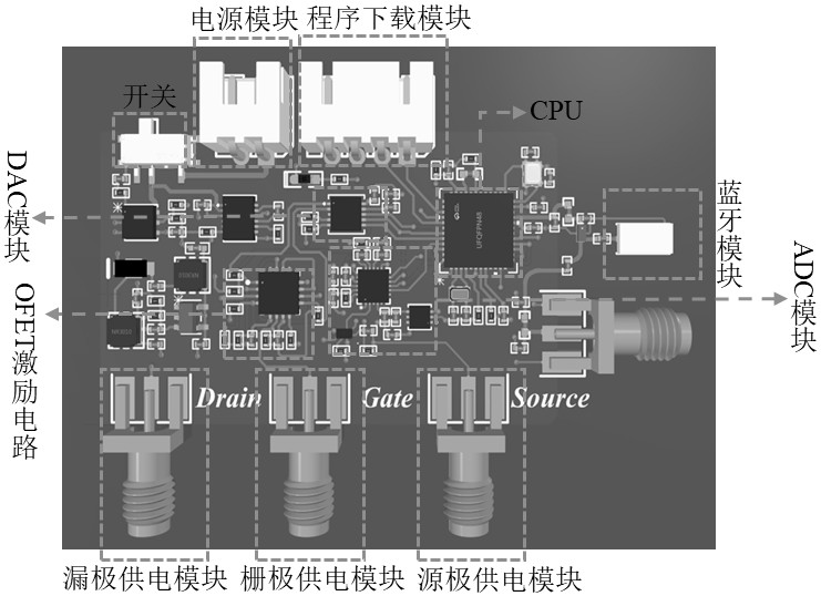 基于有機(jī)場效應(yīng)晶體管的電活性物質(zhì)檢測裝置及制備方法