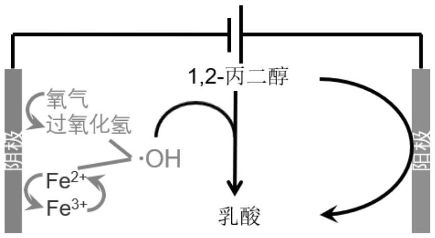 一種電催化陰陽(yáng)極耦合制乳酸的方法