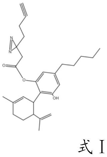 大麻二酚-2-2-(3-(丁-3-炔-1-基)-3H-雙吖丙啶-3-基)乙酯在治療二型糖尿病中的應(yīng)用