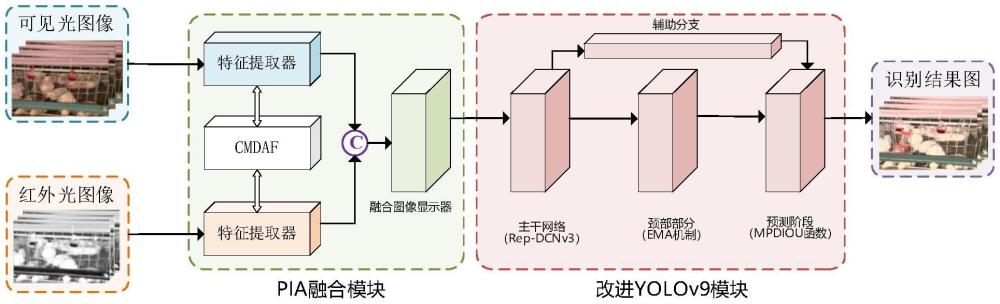 基于圖像融合和改進(jìn)YOLOv9的死雞檢測(cè)方法