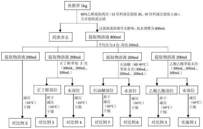 一種魚腥草提取物的提取分離方法及其應(yīng)用與流程