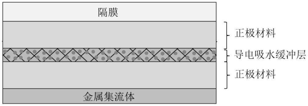 一種具有導(dǎo)電吸水緩沖結(jié)構(gòu)的鈉電池正極及其制備方法與應(yīng)用與流程