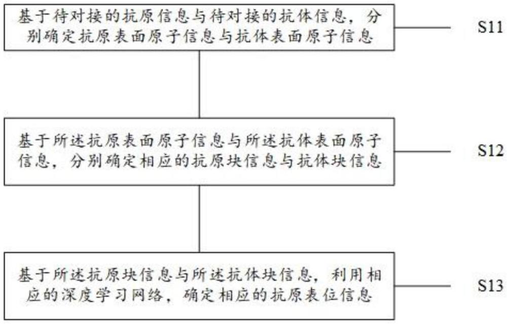 一種預測抗原表位信息的方法、設備、介質(zhì)及程序產(chǎn)品與流程