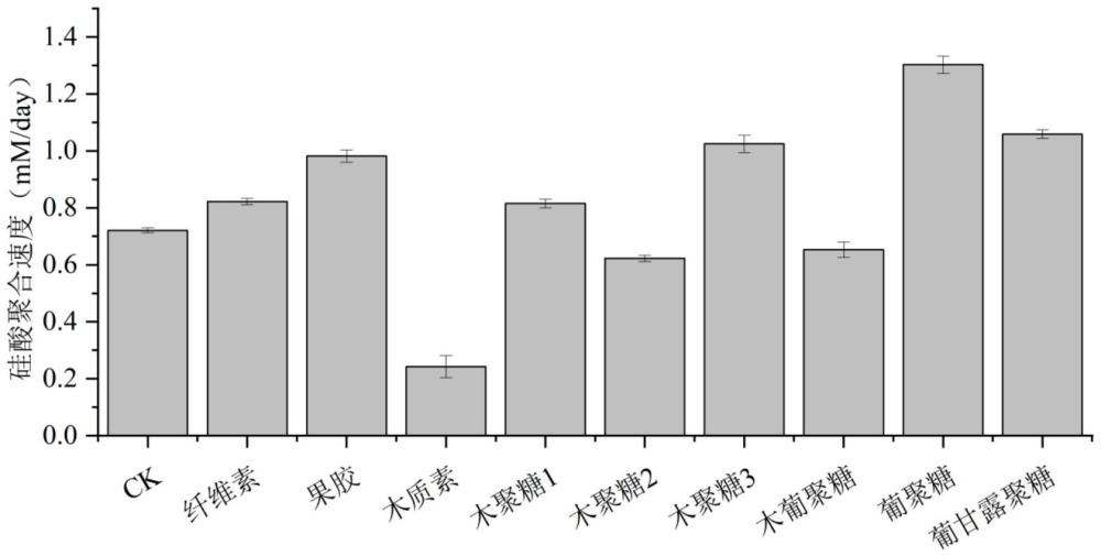 基于基因過表達和供硅策略的根系硅沉積和抗逆調控方法