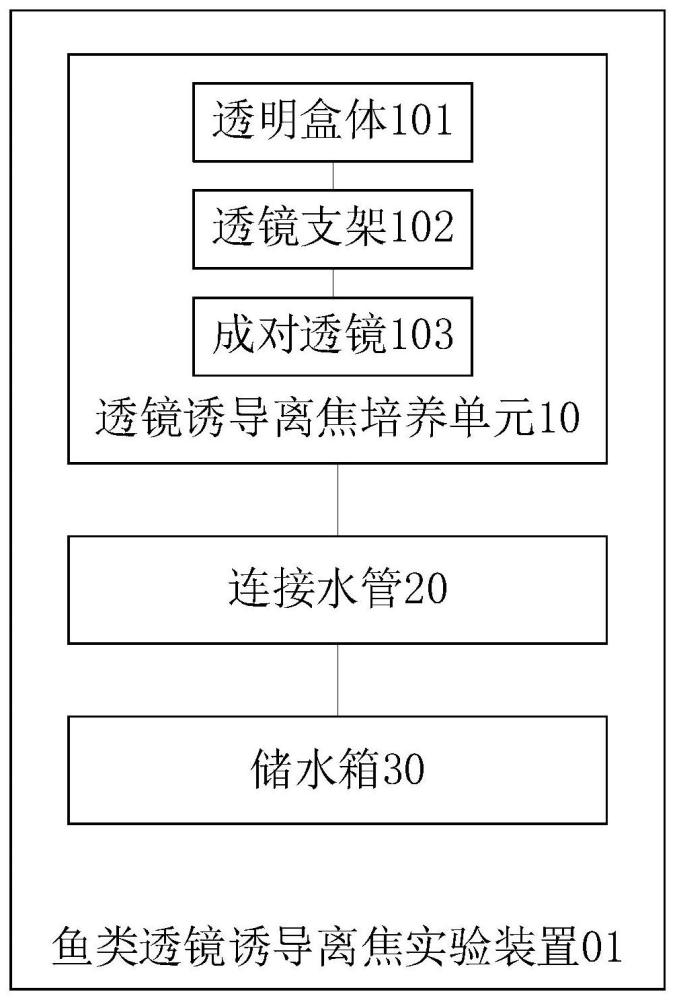 魚類透鏡誘導(dǎo)離焦實驗裝置