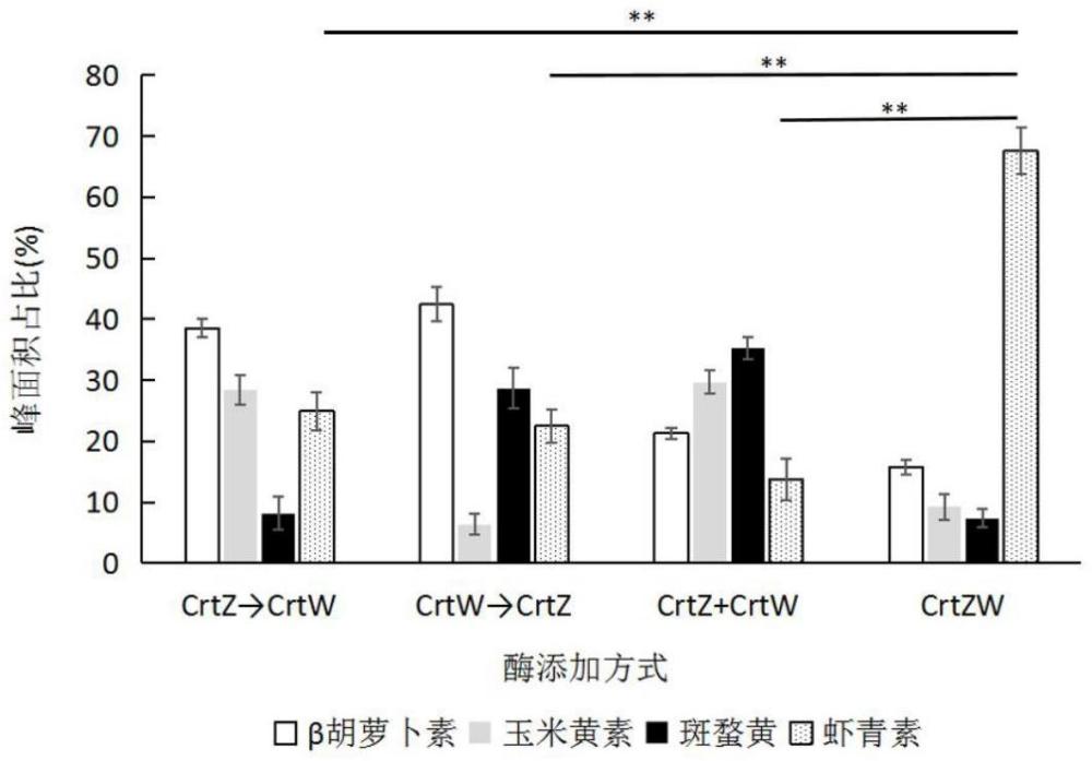 一種融合蛋白CrtZW及其在催化β-胡蘿卜素產(chǎn)蝦青素中的應(yīng)用的制作方法