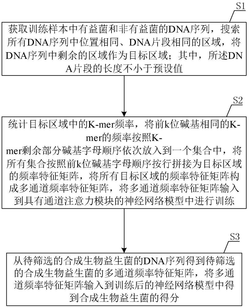 一種合成生物益生菌的篩選方法及系統(tǒng)與流程