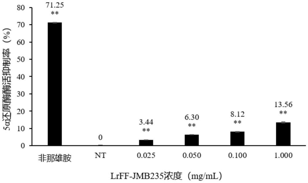 一種鼠李糖乳桿菌JMB235、其發(fā)酵產(chǎn)物和應用的制作方法