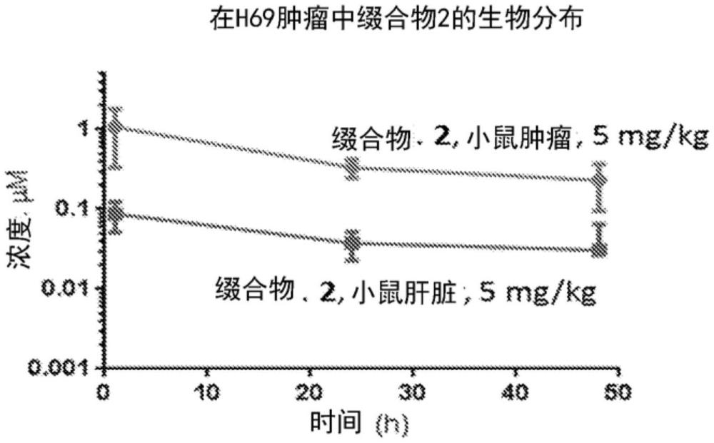 HSP90-靶向綴合物及其制劑的制作方法