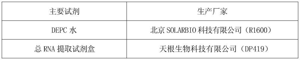 一種金汁的制備工藝及其在現(xiàn)代疾病治療中的應用的制作方法