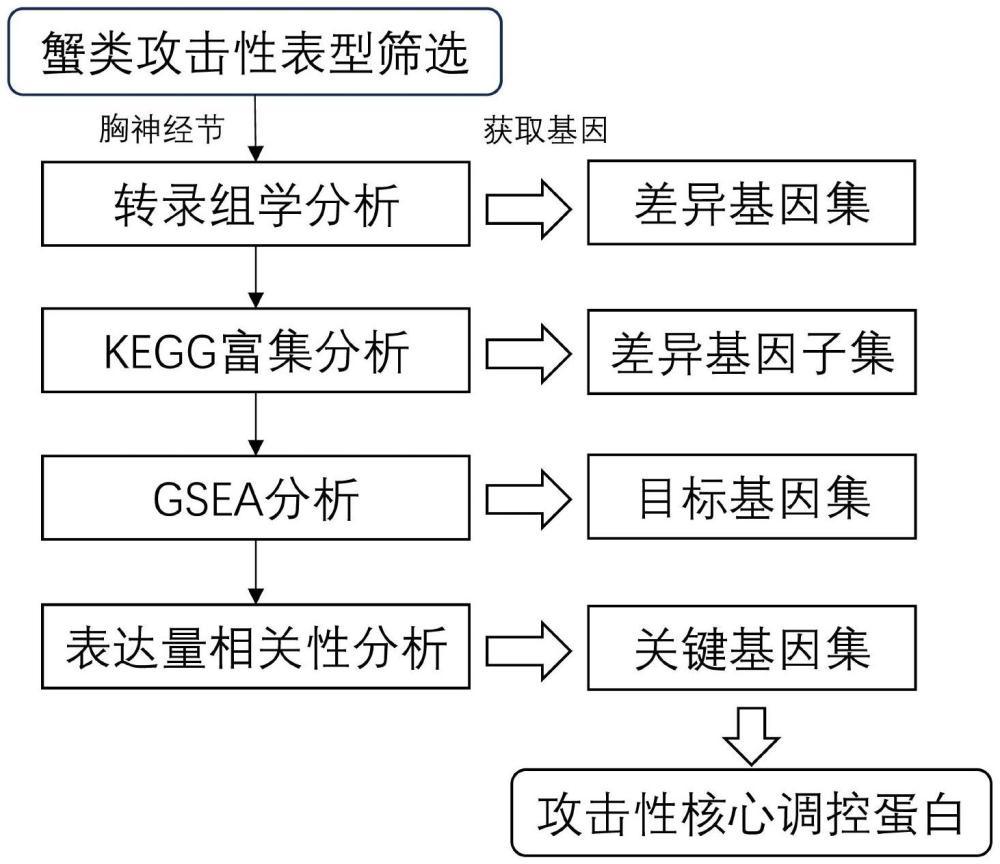 一種基于高通量測(cè)序的蟹類攻擊性基因篩選方法