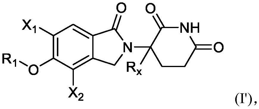 3-(5-羥基-1-氧代異吲哚啉-2-基)哌啶-2,6-二酮衍生物及其用途的制作方法