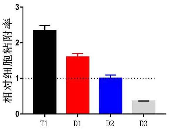 一種重組表達(dá)質(zhì)粒、構(gòu)建重組人源化膠原蛋白大腸桿菌的方法和透皮型重組人源化膠原蛋白的制備方法及其用途與流程