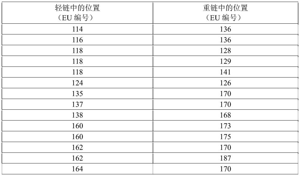 經(jīng)修飾的抗體和其用途的制作方法