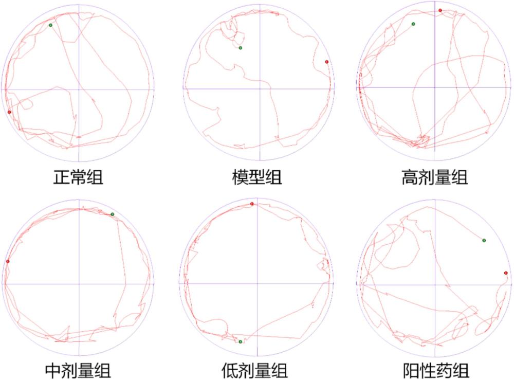 一種補(bǔ)腎陽的中藥組合物、制備方法和用途