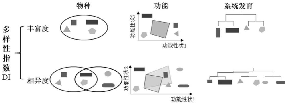 一種高維度綜合評估生態(tài)系統(tǒng)生物多樣性動態(tài)變化的方法