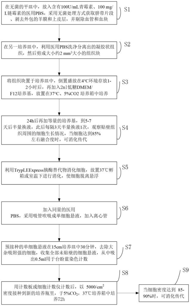 一種給間充質(zhì)干細(xì)胞賦能的方法與流程