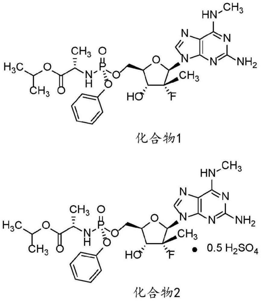 用于治療登革熱感染的給藥方案的制作方法