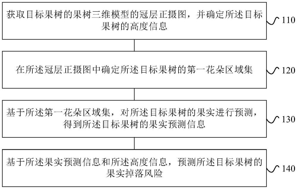 基于無人機圖像的芒果果實掉落危害智能預測方法及裝置