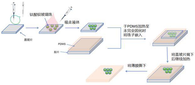 集成微球透鏡陣列的柔性熒光增強薄膜的制備方法