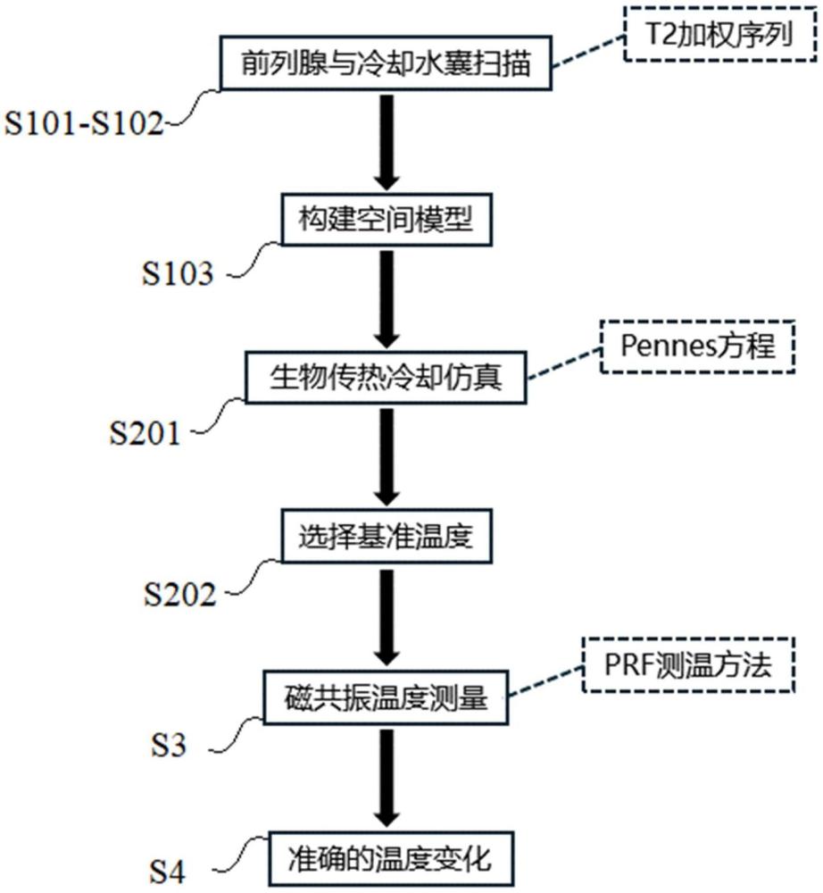 媒介影響生理溫度的目標組織穩(wěn)態(tài)溫度的獲取方法和裝置與流程