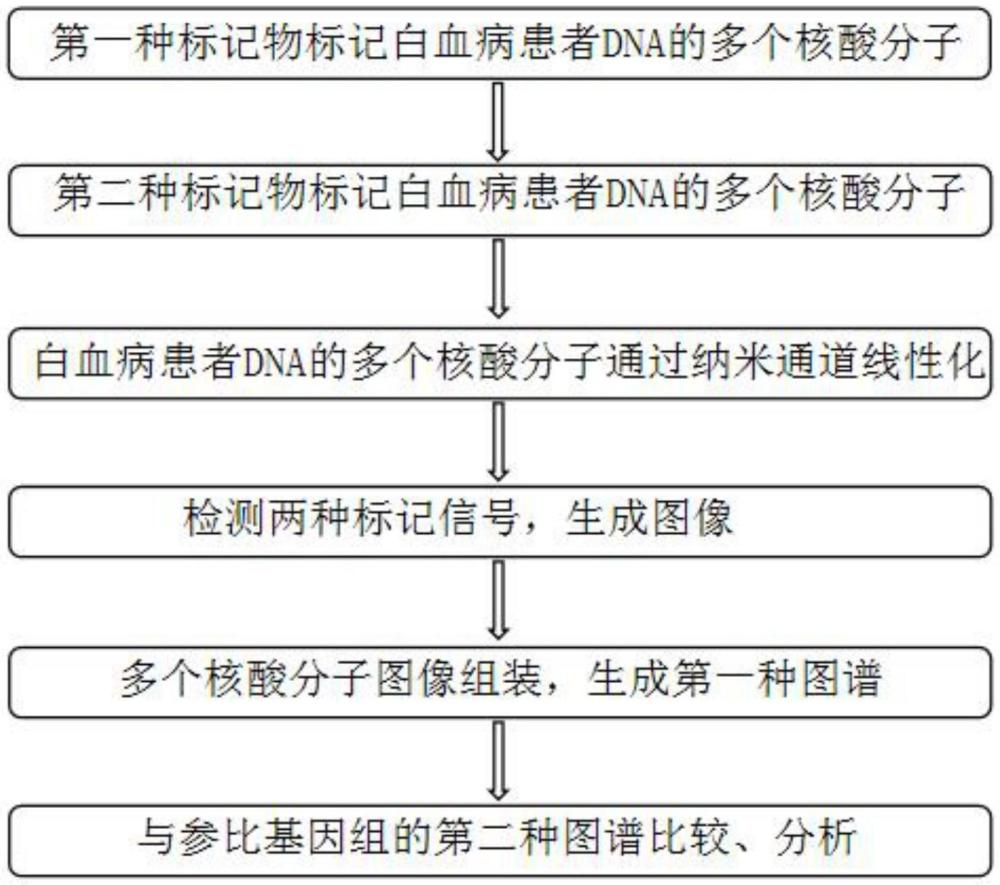 一種檢測(cè)白血病患者DNA結(jié)構(gòu)變異區(qū)域的方法及其應(yīng)用與流程