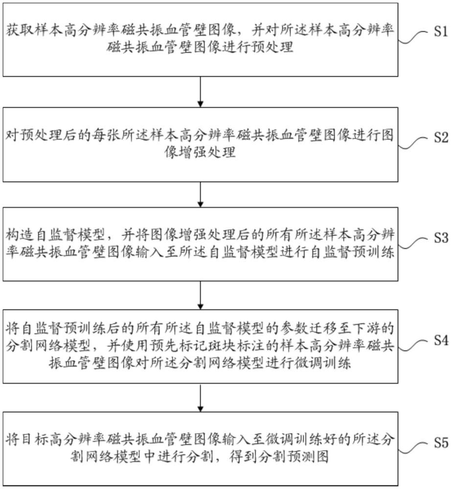 一種斑塊自監(jiān)督分割方法及系統(tǒng)