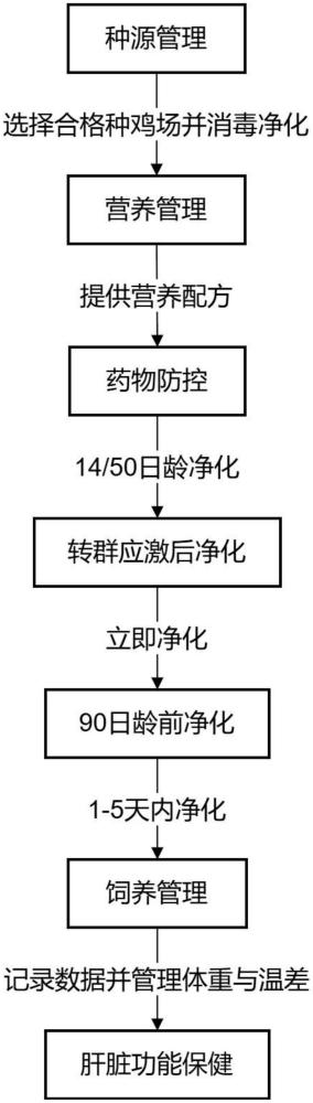 一種滑液囊支原體的防控方法與流程