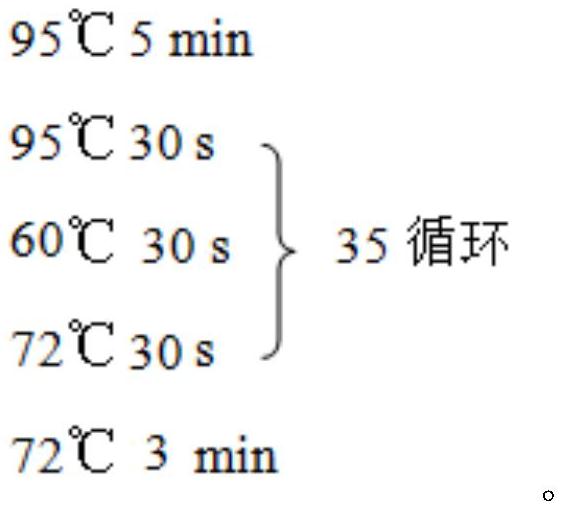 一種可同時檢測鴨和鵝源性成分的分子生物學方法及應用與流程