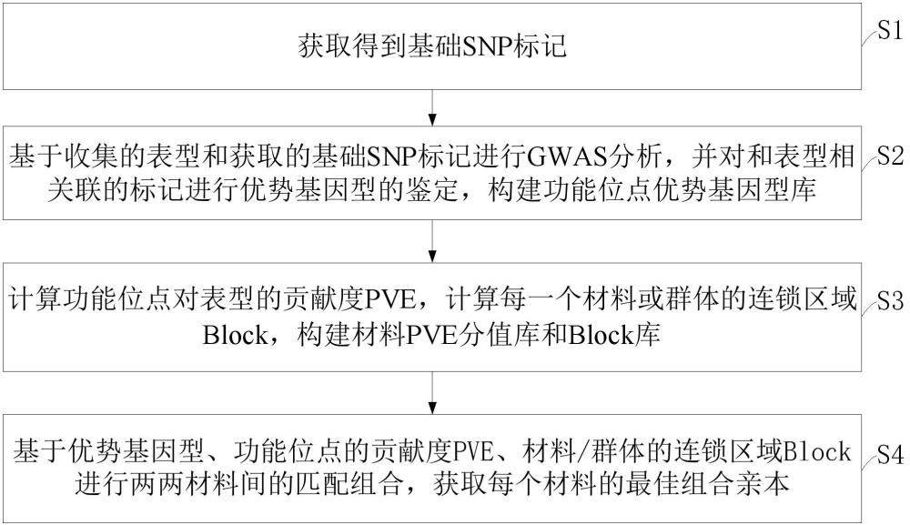 一種快速匹配育種改良親本組合物、獲取方法及應(yīng)用與流程