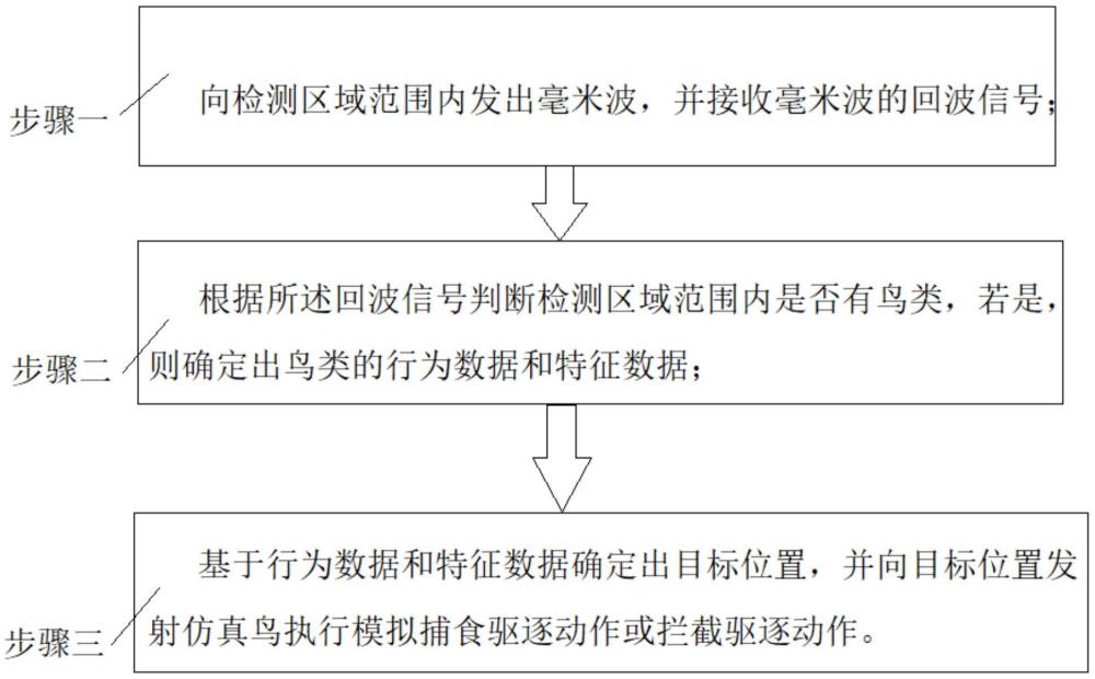 基于毫米波雷達(dá)與捕食動(dòng)作模擬的驅(qū)鳥方法及系統(tǒng)與流程