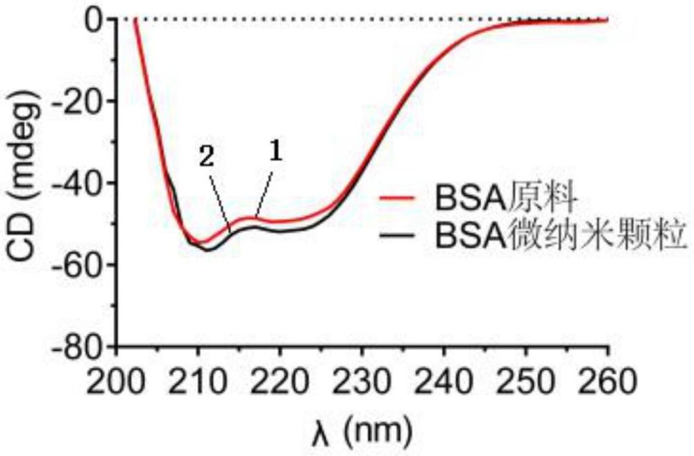 一種微納米化大分子生物藥及其制備方法與流程