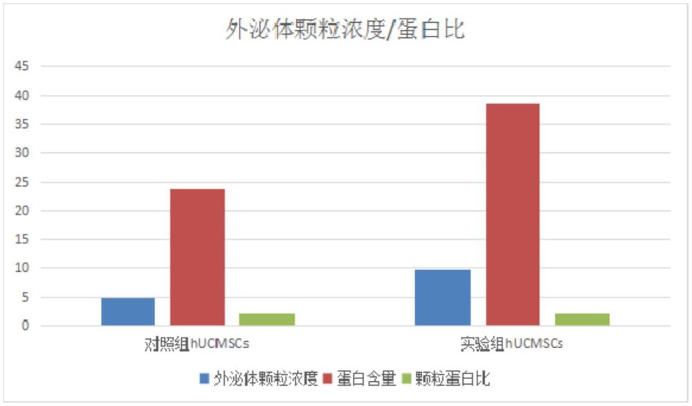 一種高效缺血性損傷修復(fù)的hUCMSCs及其制備方法和應(yīng)用與流程